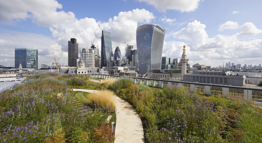 33 Central w Londynie: Zielony raj z ogrodem na dachu o powierzchni 1 300 m2, w którym znajduje się ponad 40 różnych gatunków roślin i kwiatów dziko rosnących w Wielkiej Brytanii i który oferuje zachwycające widoki miasta.
